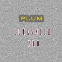 Plum Locksmith Pro  logo